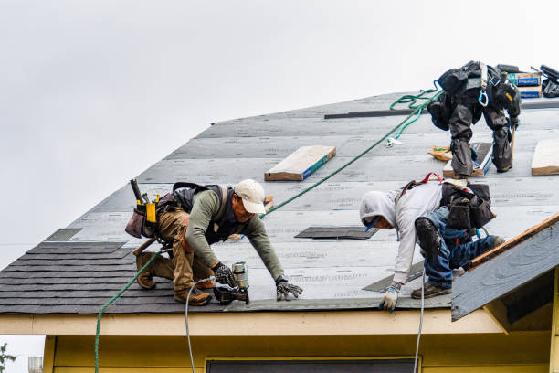 Professional Storm Damage Roof Repair technician working in Plymouth, CA